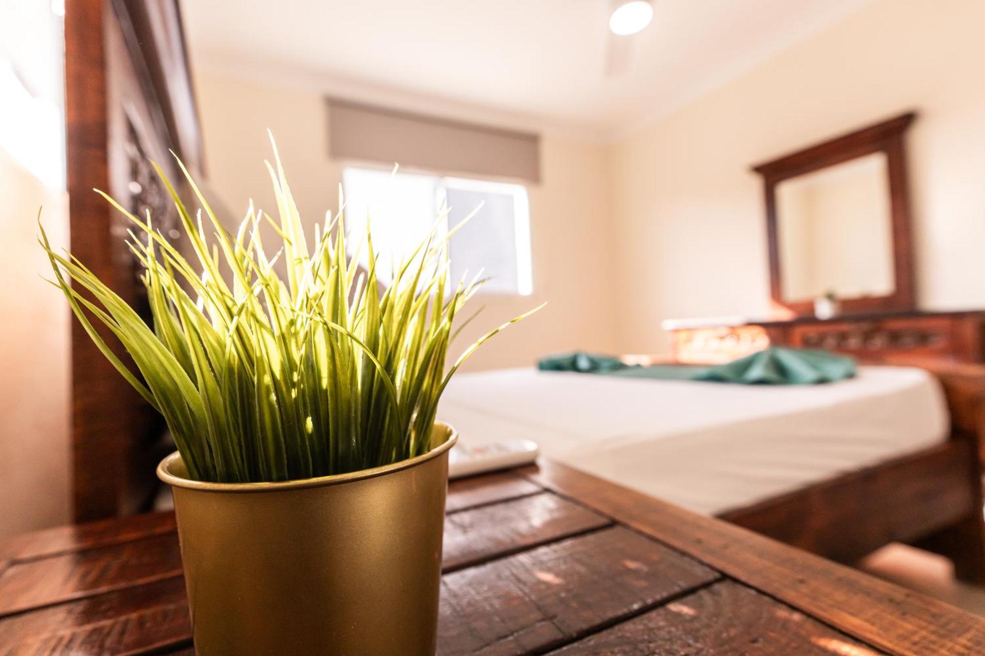 Hostal Las Rosas De Punta Cana Bagian luar foto